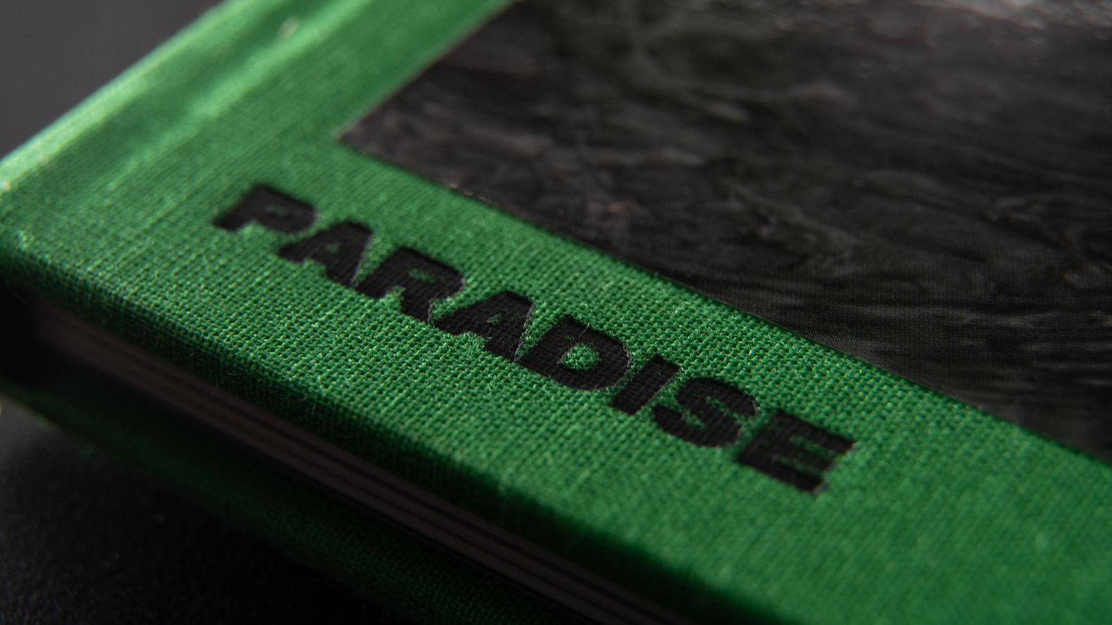 Paradise - Detail 1.jpg