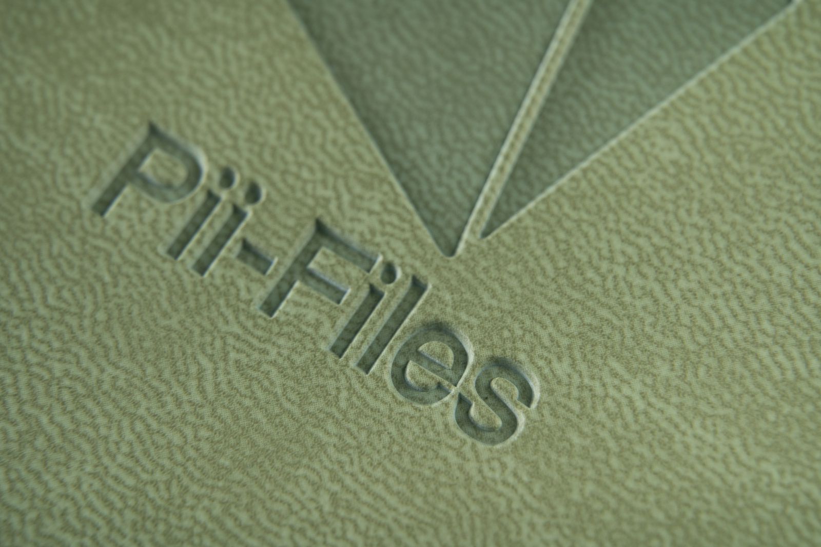 Pii-files - detail 1.jpg