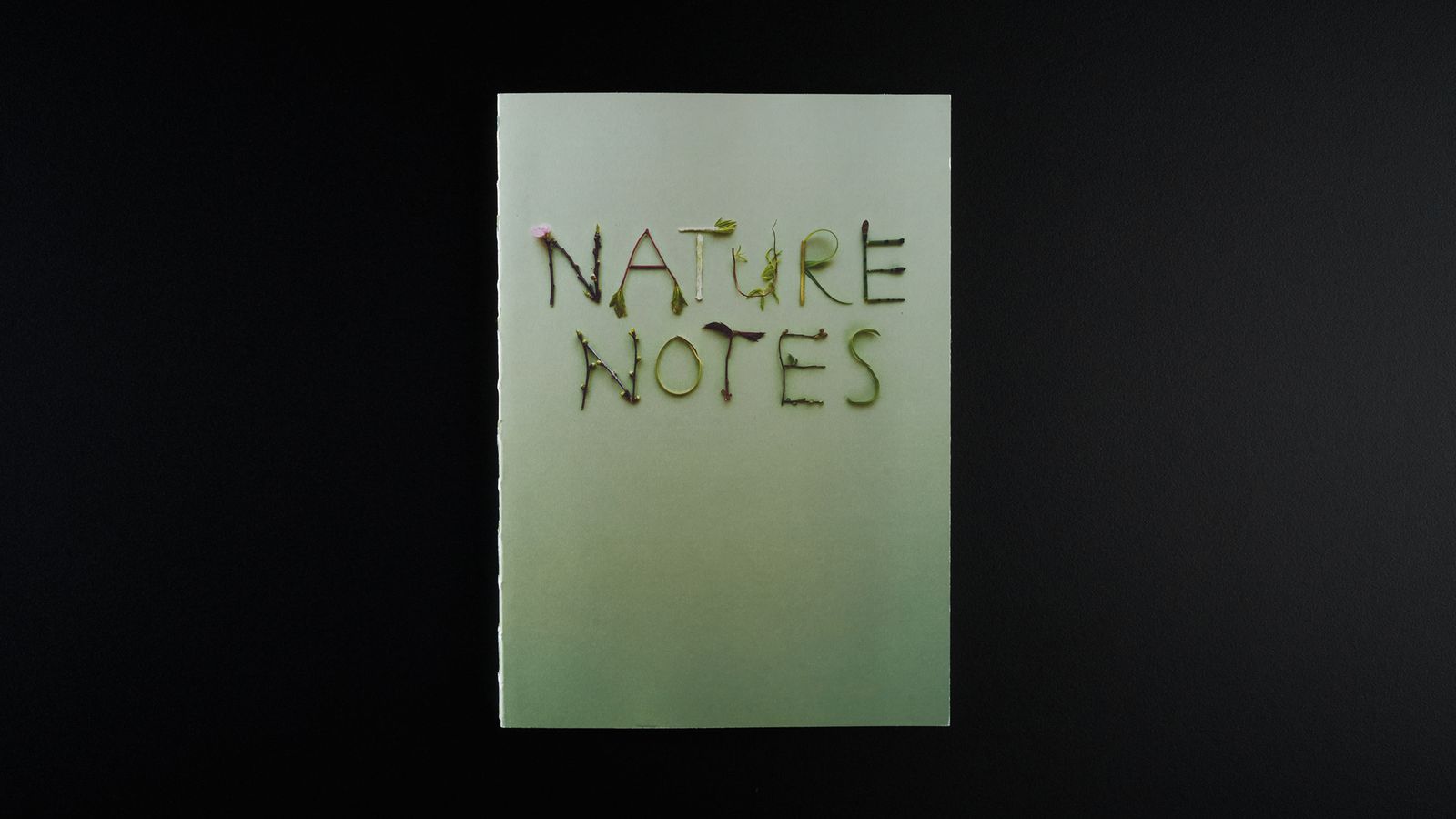 Nature Notes - Cover.jpg
