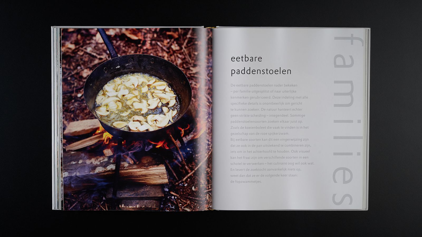 Paddenstoelen - Spread 5.jpg